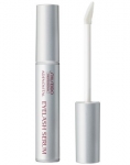 Shiseido Shiseido
